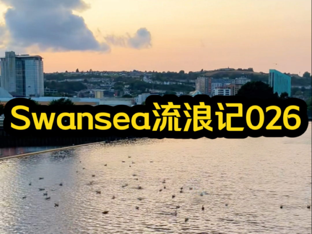 Swansea流浪记026哔哩哔哩bilibili