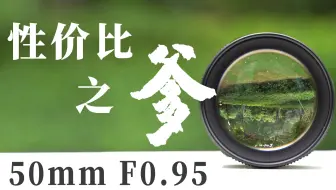 这么便宜的七工匠50mm F0.95能用吗？
