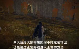 全网最强进入王城内部方法！不打boss不用bug！