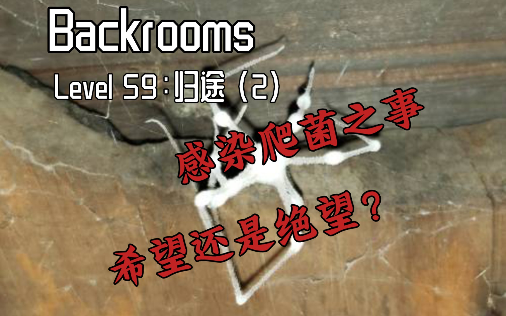 [图]【Backrooms】Level 59：归途 感染爬菌之事 一线希望，还是彻底绝望？