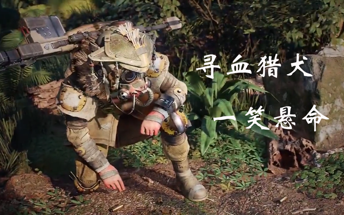 我是重伤倒地你也可以叫我寻血猎犬寻血猎犬x一笑悬命