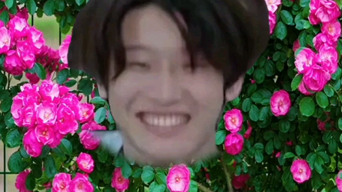 土子哥的北味[花少北]