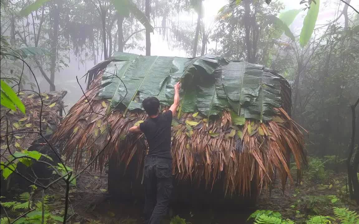 [图]【原始丛林人】热带雨林下雨频繁，想要躲过雨季，必须加固庇护所！