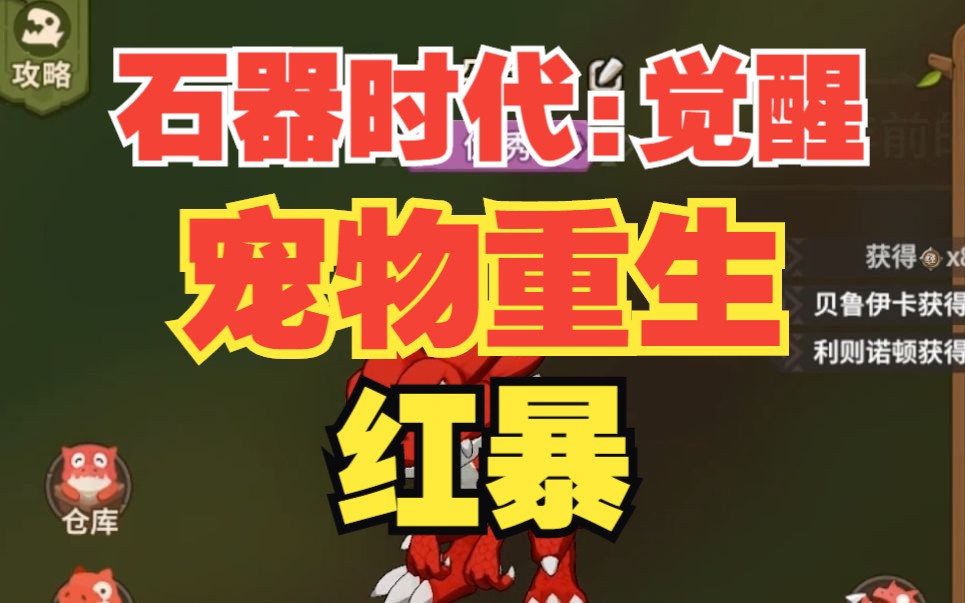 《石器时代:觉醒》宠物重生之5,今天转一只红暴龙巴朵兰恩!今天又翻车了!网络游戏热门视频