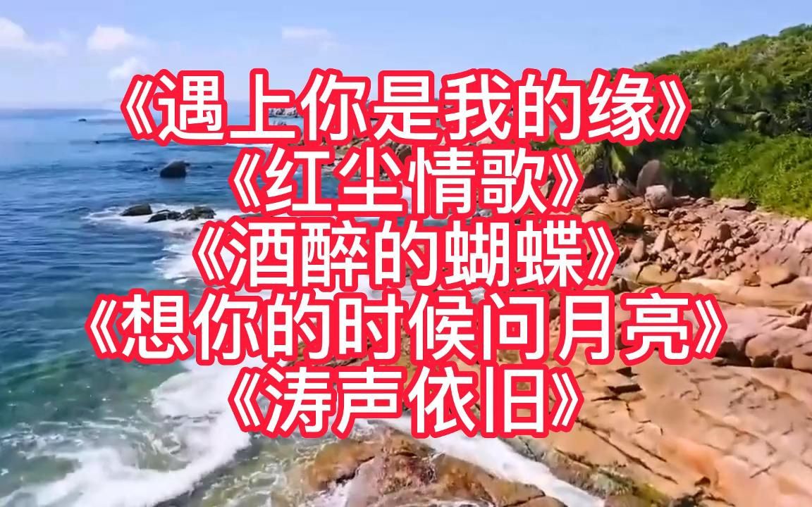 [图]<遇上你是我的缘><红尘情歌><酒醉的蝴蝶><想你时问月亮>涛声依旧