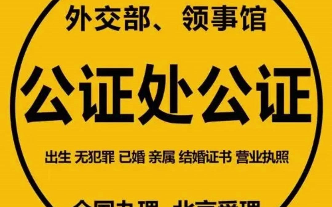 国信公证处收费标准哔哩哔哩bilibili