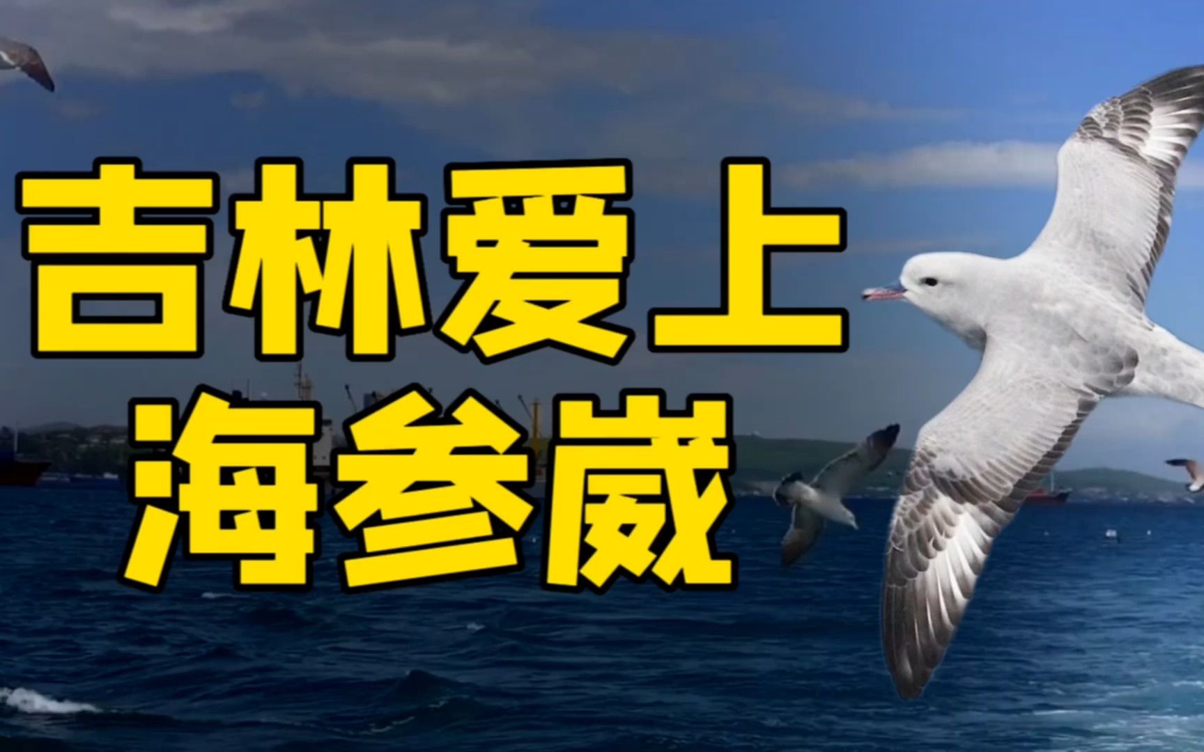 吉林爱上海参崴,500公里输给800公里,一场舍近求远的开放试验?哔哩哔哩bilibili