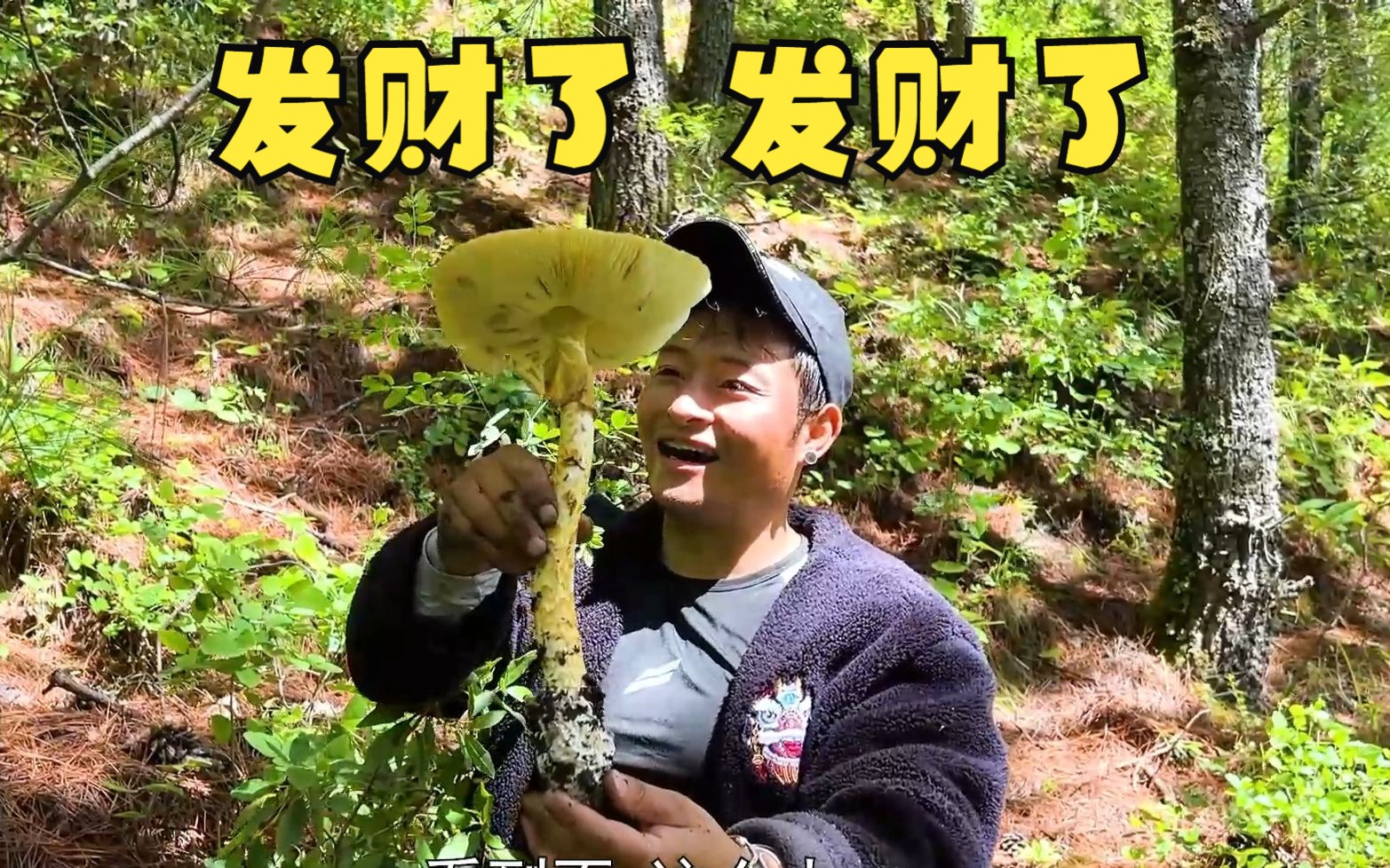 今天捅了菌子窝,半米长的大菌子,捡了3背篼,根本捡不完,朋友们快来哦哔哩哔哩bilibili