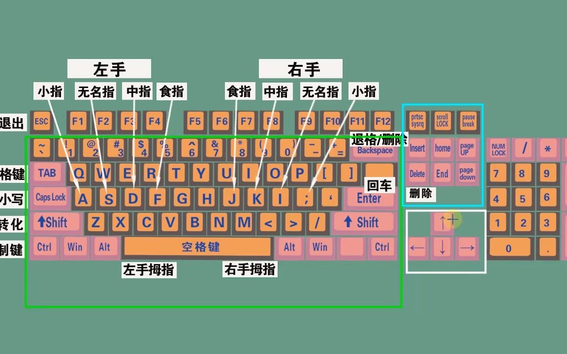 零基础电脑知识,掌握键盘标准指法,打字速度和准确率都可以提高哔哩哔哩bilibili