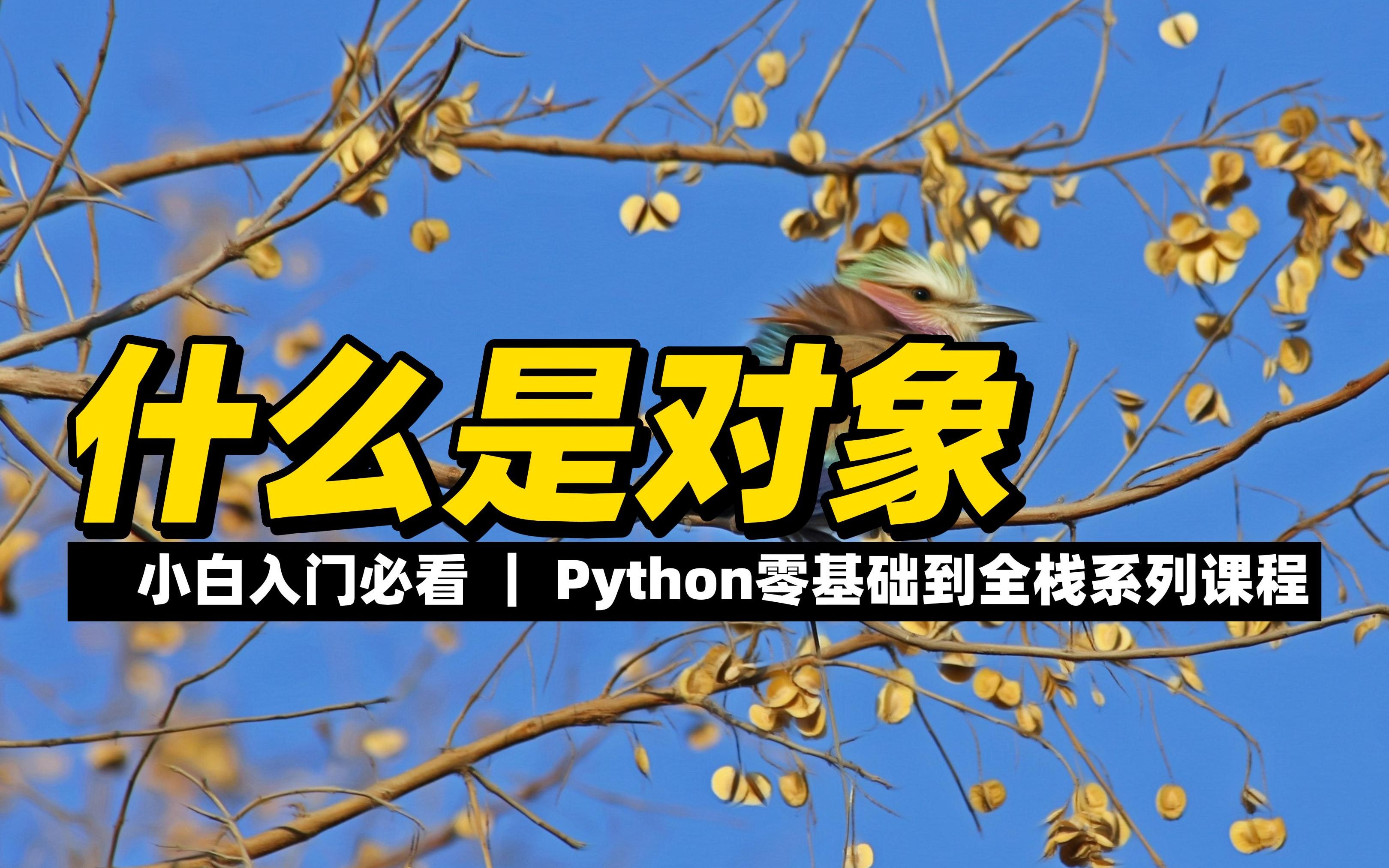 什么是对象  《python零基础到全栈系列》哔哩哔哩bilibili