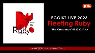 EGOIST LIVE 2023 Fleeting Ruby コインキーホルダー EGOIST LIVE 2023 Fleeting Ruby コインキーホルダー（EGOIST