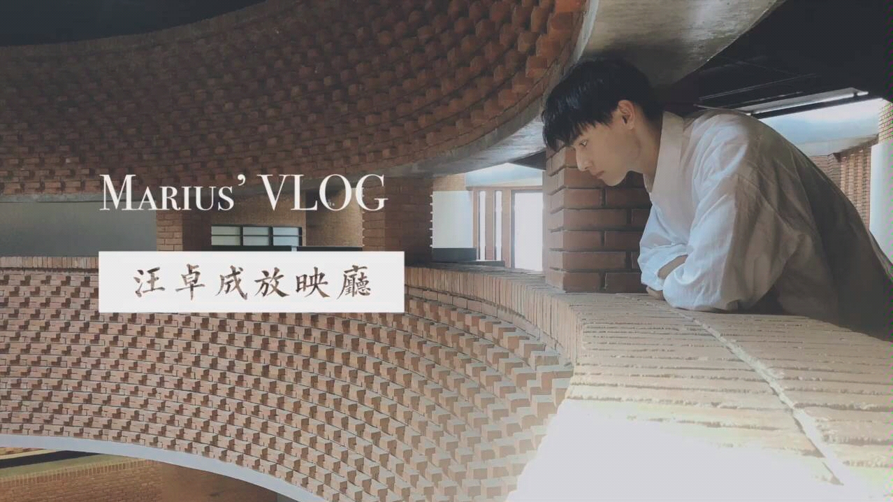 【汪卓成】汪卓成放映厅 舅舅的VLOG哔哩哔哩bilibili