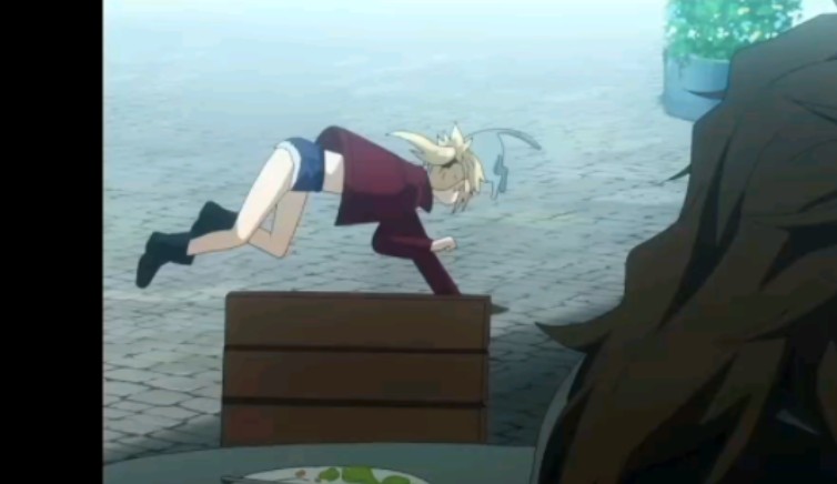 狮子王后代(小莫)与猫纯享版