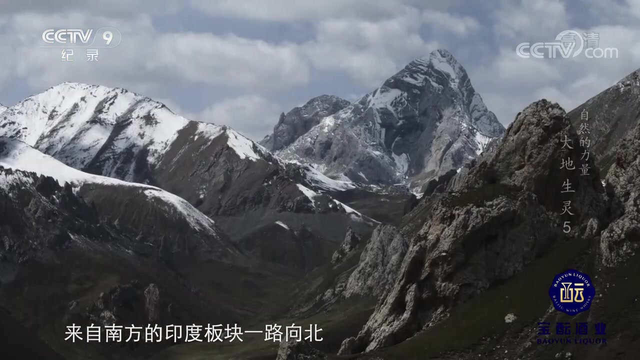 [图]最冷酷的杀手重返高原 看狼群用何种战术猎食《自然的力量·大地生灵》第五集【CCTV纪录】