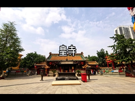 皇寺哔哩哔哩bilibili