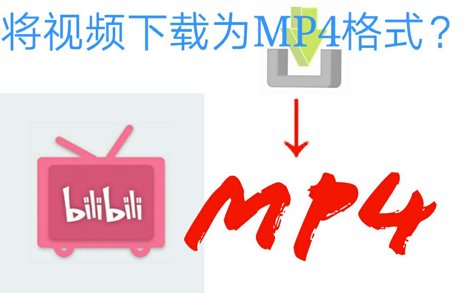 [图]将B站视频下载为MP4格式？