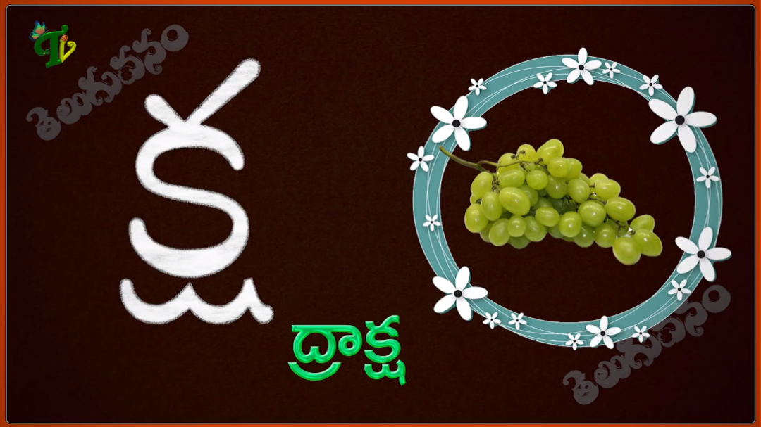泰卢固语元音字母和辅音字母完整示范带例词_哔哩哔哩 (゜-゜)つロ