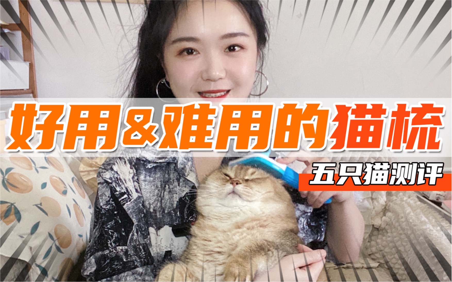 5猫家庭梳子测评!梳干净猫毛&保护毛发的梳子!哔哩哔哩bilibili