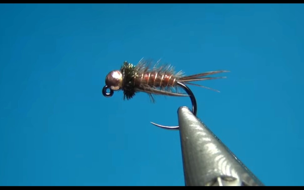 [图]Fly Tying Crimson Prince Jig Nymph | Hackles & Wings