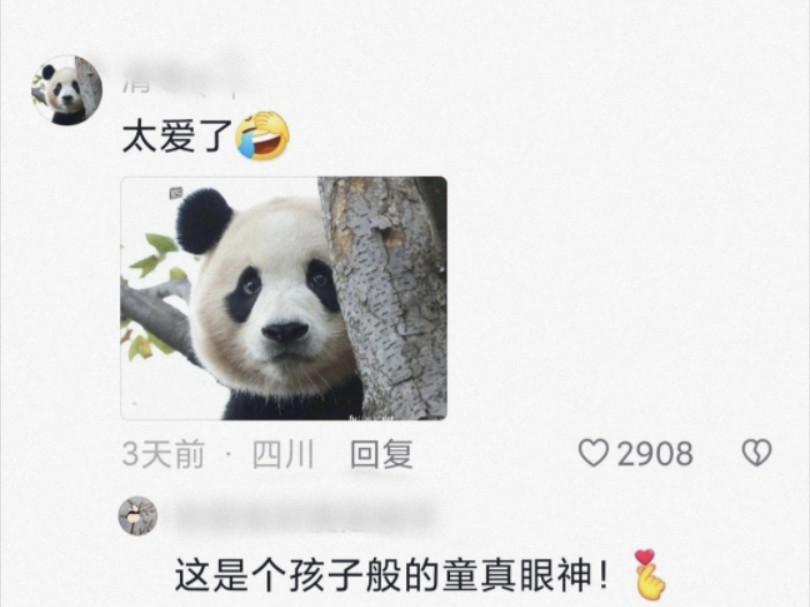 笑不活了!奶爸千呼万唤,福宝“已读不回”,我笑死在评论区哔哩哔哩bilibili