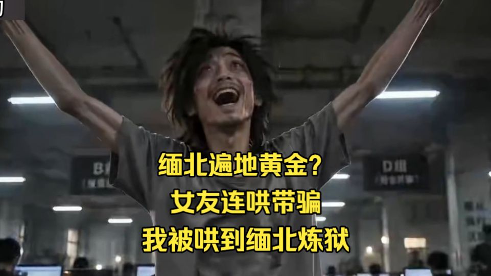 缅北遍地黄金？女友连哄带骗，我被哄到缅北炼狱，