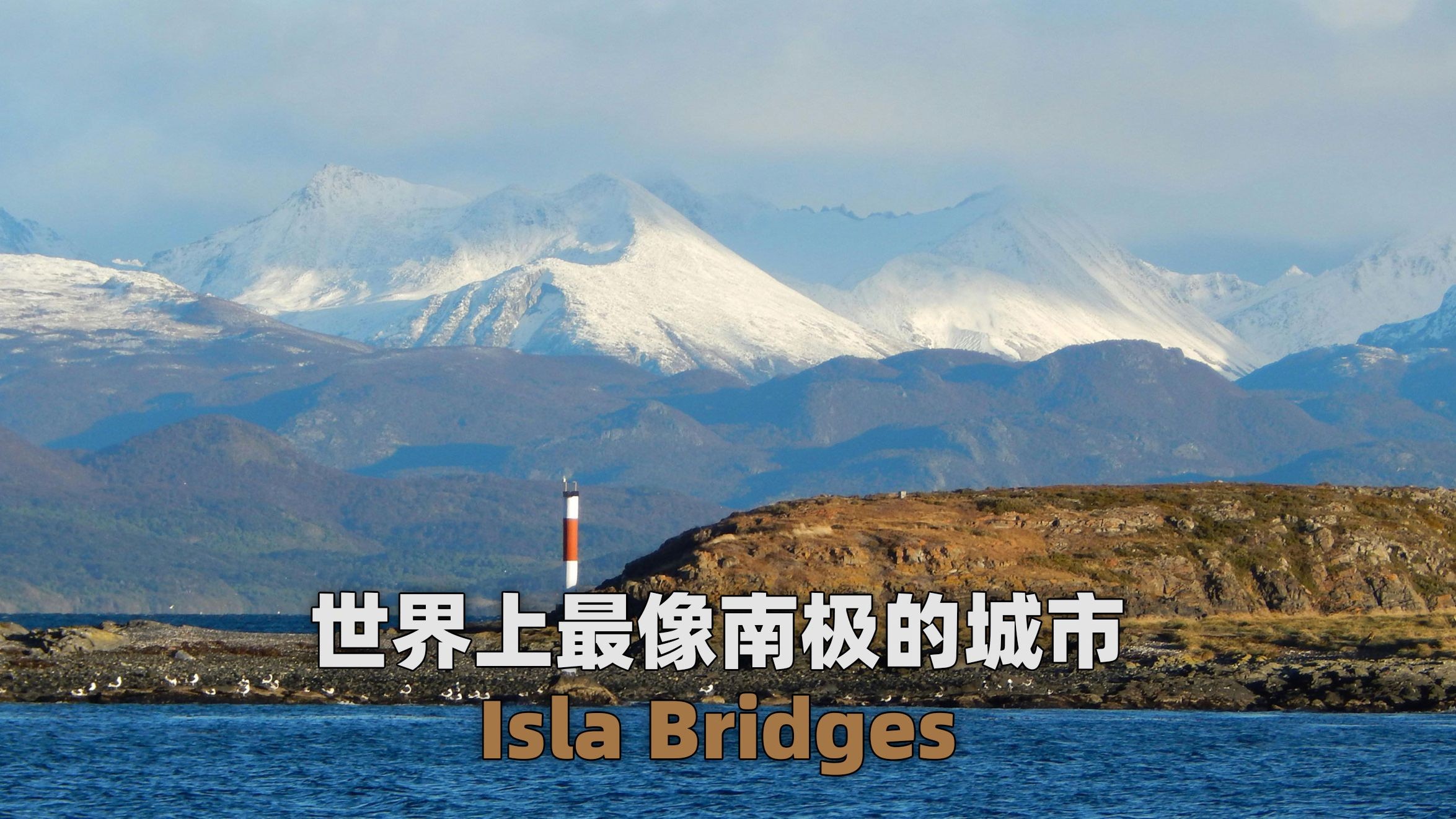 世界上最像南极的城市Isla Bridges自然保护区哔哩哔哩bilibili