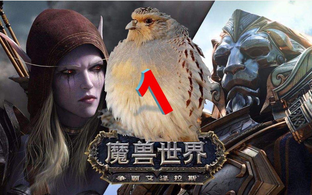 【游戏怀旧 打卡】魔兽世界8.