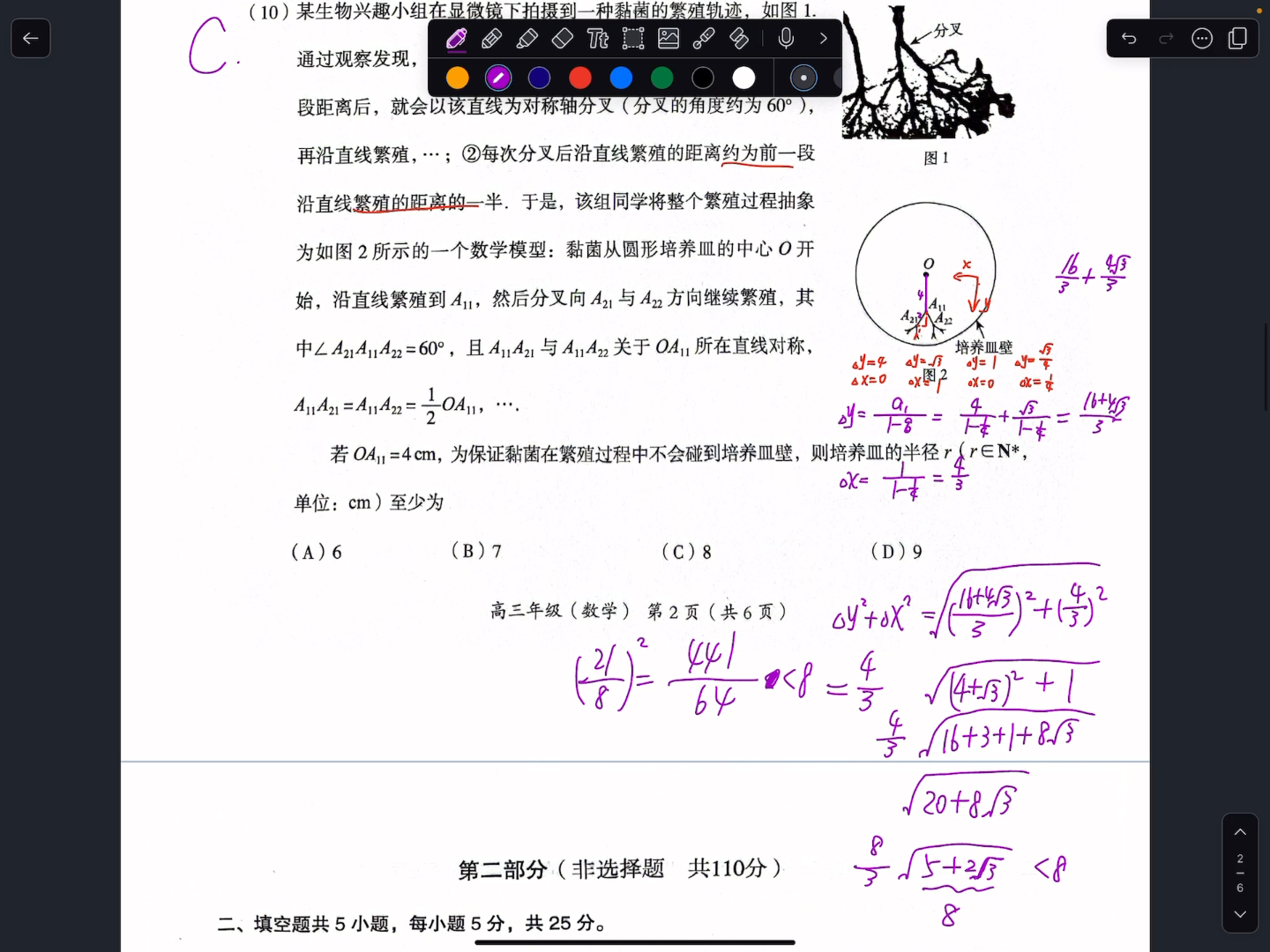 2024海淀高三一模数学选填实录——至少是北京高三试题的天花板了哔哩哔哩bilibili