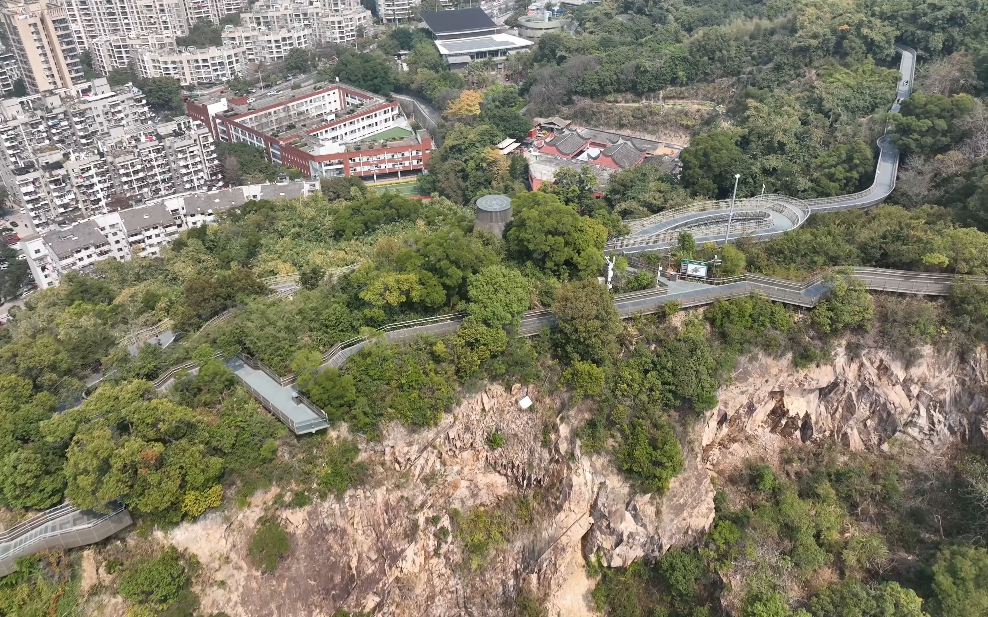 福州森林步道图片