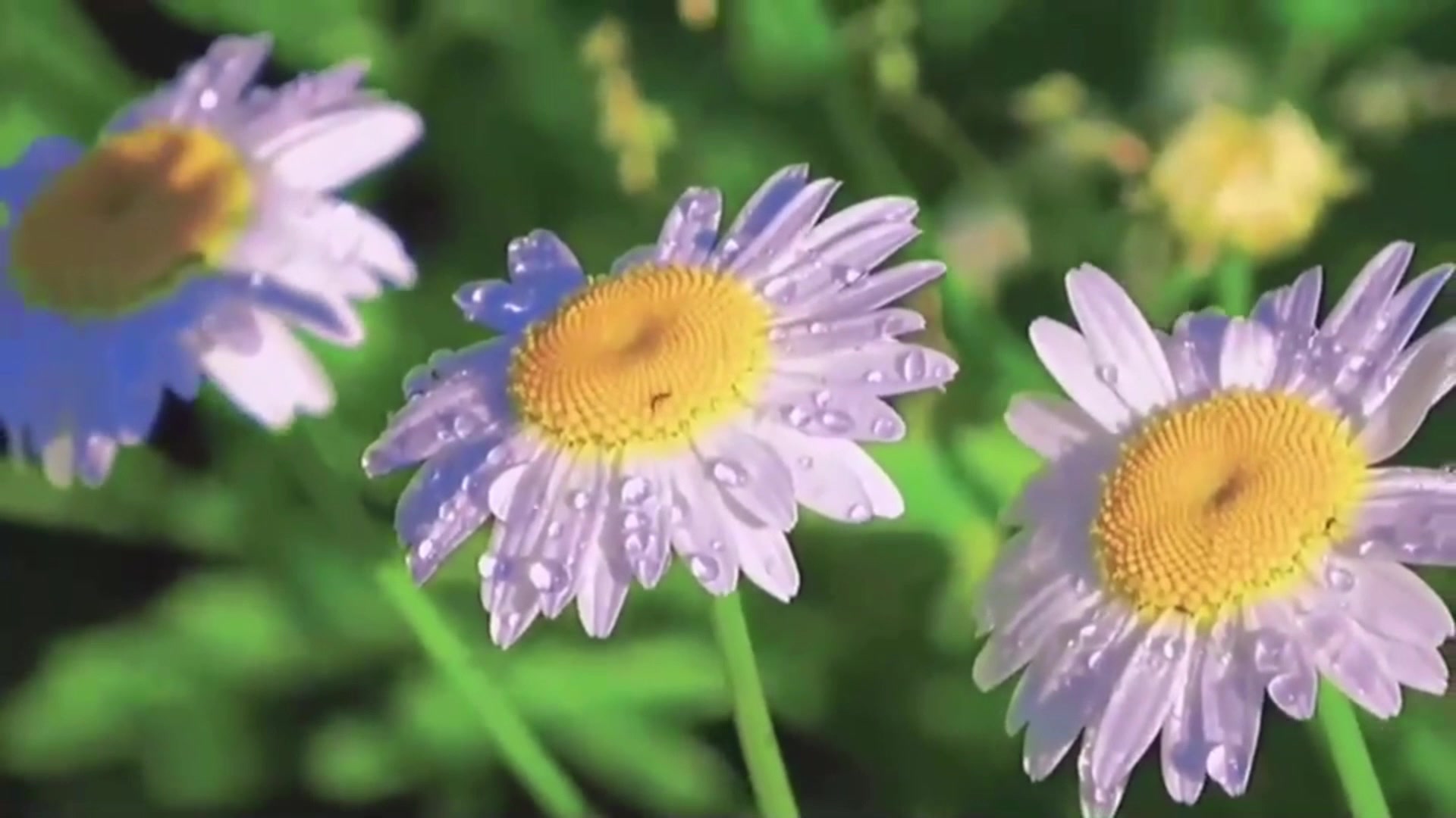 [图]好听的歌曲；飘雪的季节更想你