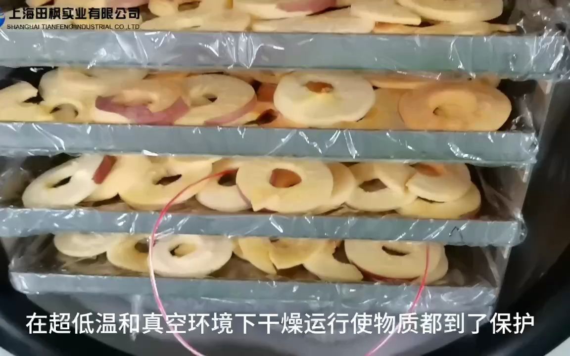 苹果冻干机 家用水果冷冻干燥机应用案例