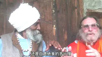 印度最嚣张的动物，虽然泛滥成灾，却没人敢动它们一根毫毛