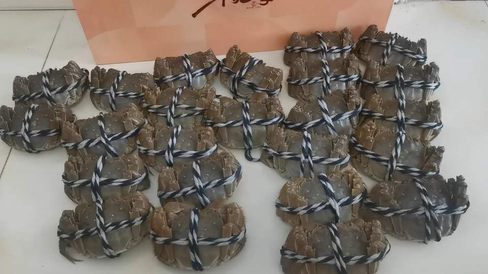 大闸蟹的各种规格（重量）