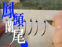 Download Video: 【瘦金体】凤头兰尾