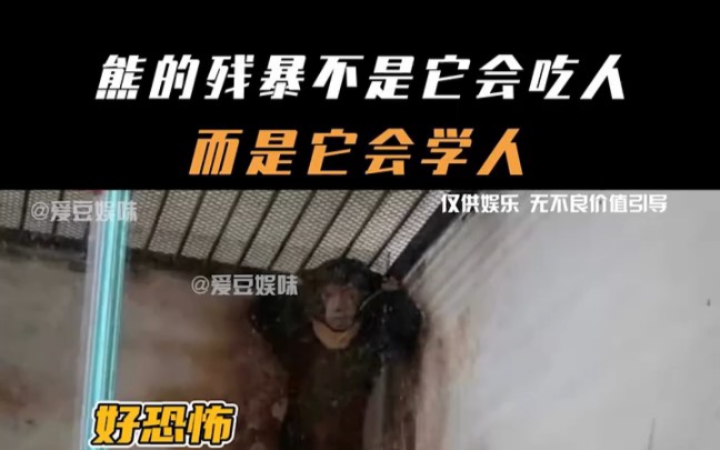 什么含金量了,残暴的不是会吃人而是会学人02"熊0202"野生动物