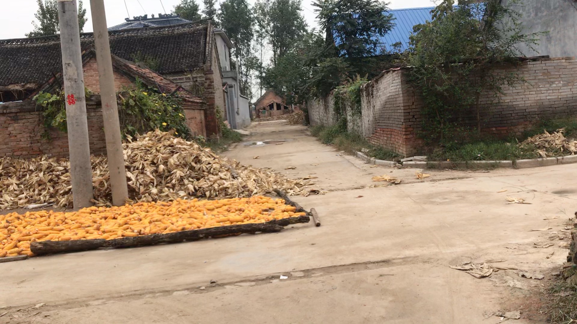 鲁西南农村,我的老家