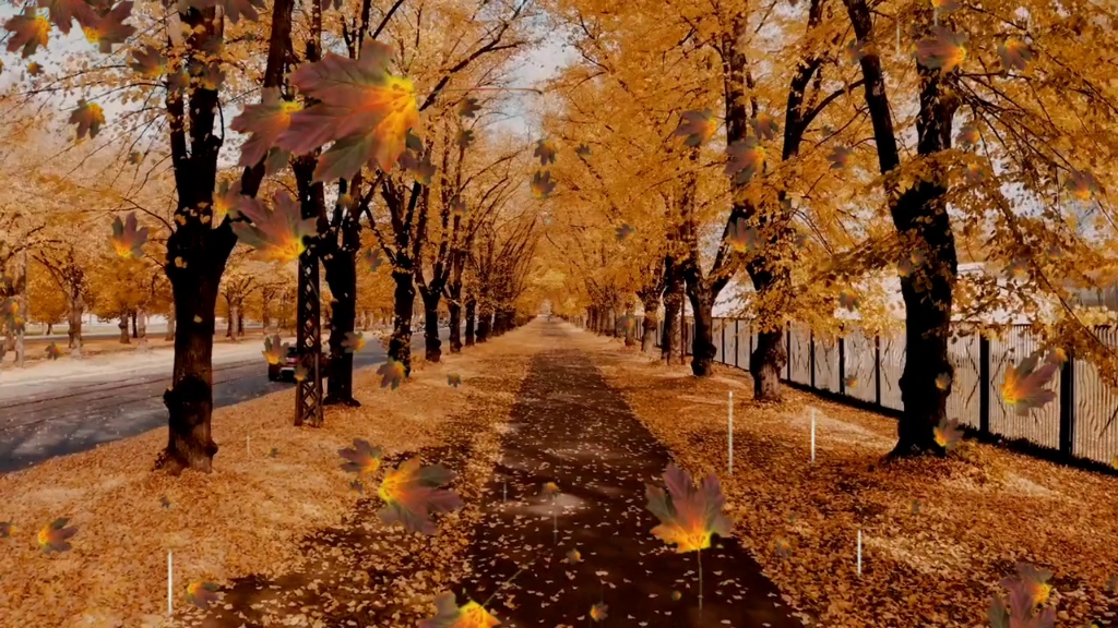 秋天的晚风与你相遇,互关!