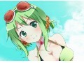 [图]【GUMI】夏日之歌