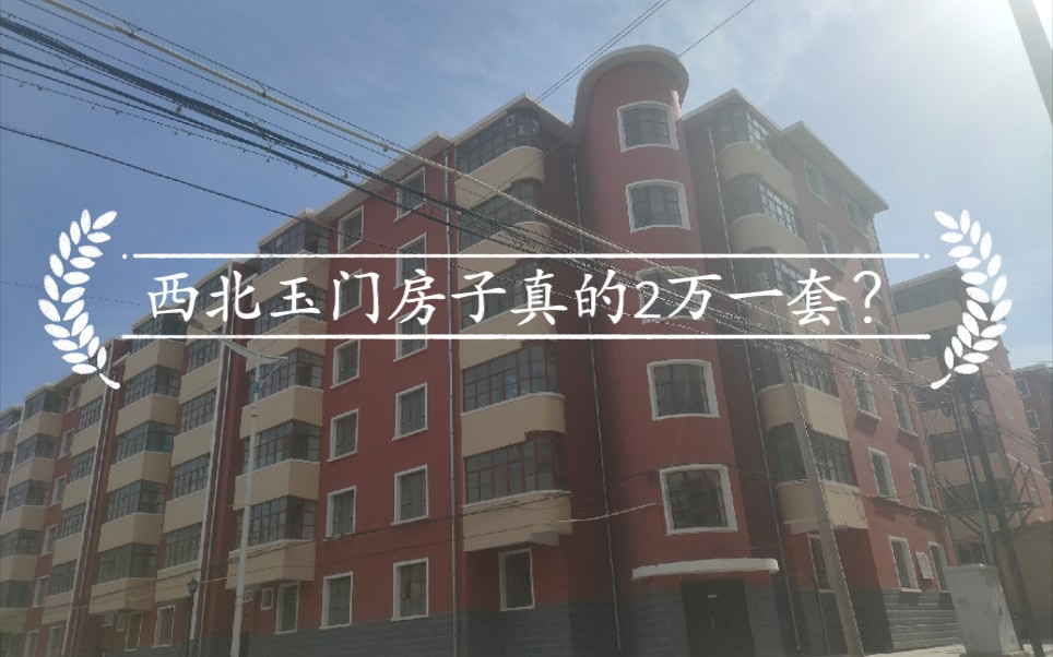 资源枯竭性城市的痛，东北鹤岗VS西北玉门，房子真的2万元一套？