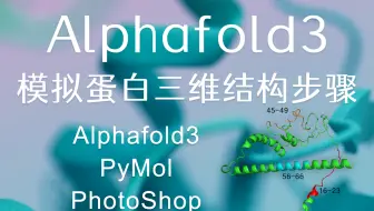 AlphaFold3+PyMol模拟三维结构步骤
