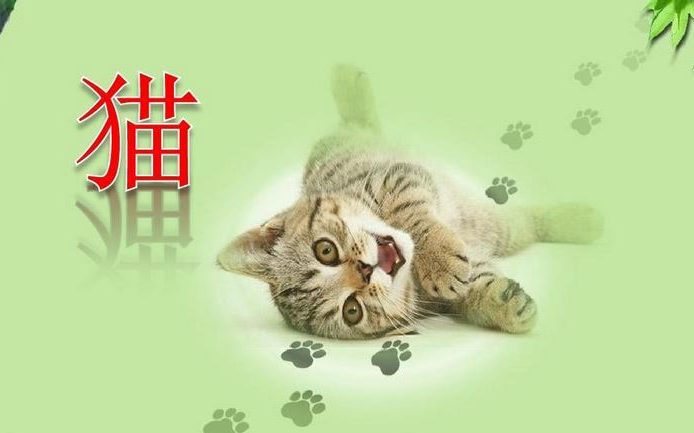 [图]【课件】《猫-郑振铎》[]YW071092,KJ-部编版,人教版,统编版,初中,七年级,初一,上册,上学期,(语文)