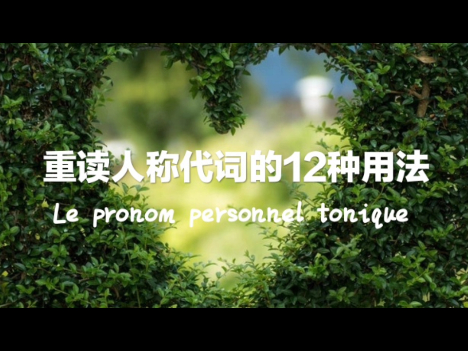 087.重读人称代词的12种用法及词形 Le pronom personnel tonique.哔哩哔哩bilibili