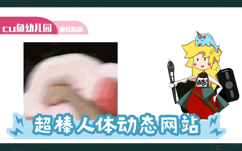 超棒人体动态网站哔哩哔哩bilibili