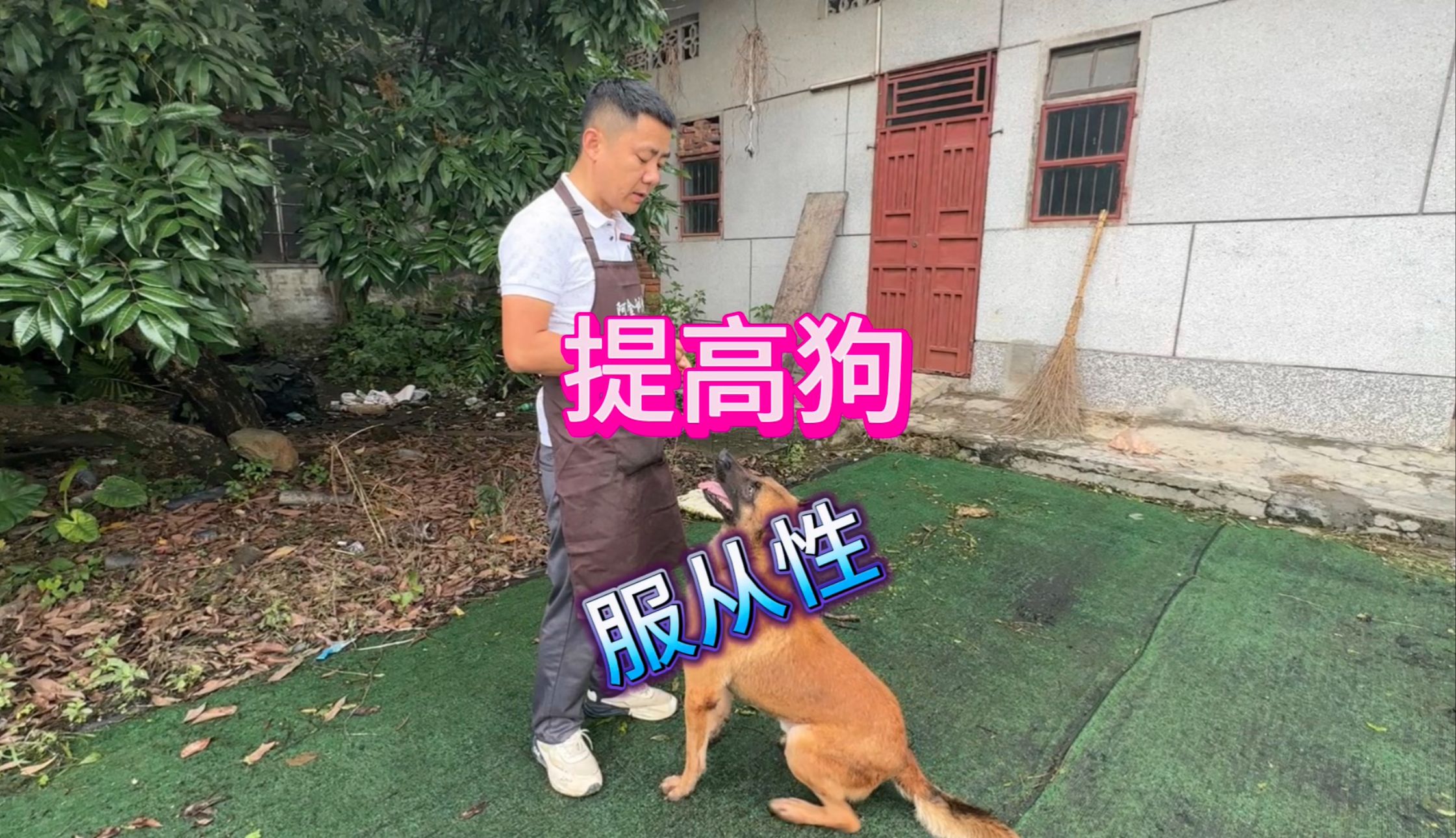 狗狗不听话怎么办?坏毛病一抓一大把!训犬师点出问题所在哔哩哔哩bilibili