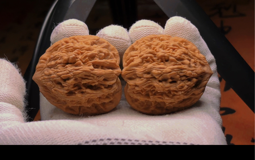 出对核桃~【虎头】编号9.8e 0起拍每手加10 全品无修 尺寸38/36/42 9.