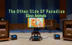 下载视频: 百万级装备听《The Other Side Of Paradise》- Glass Animals【Hi-Res】