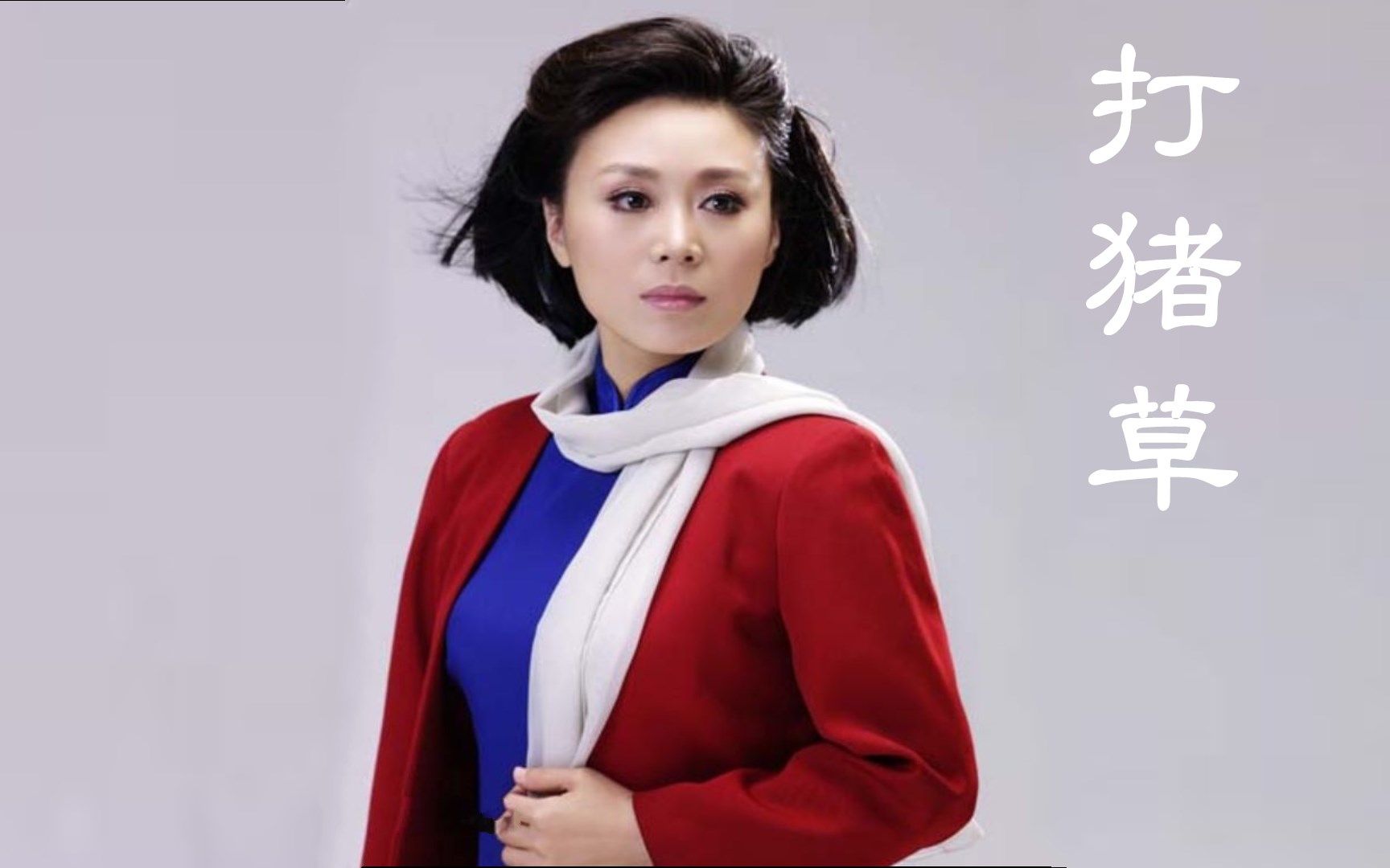 黄梅戏打猪草全折表演吴琼佘顺