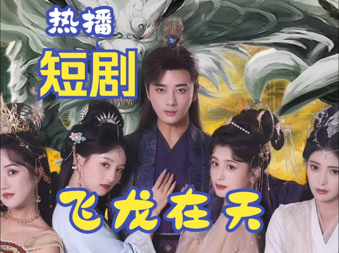 飞龙在天1-40集完整版