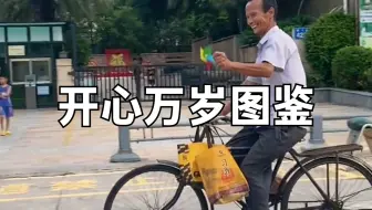 开心万岁图鉴
