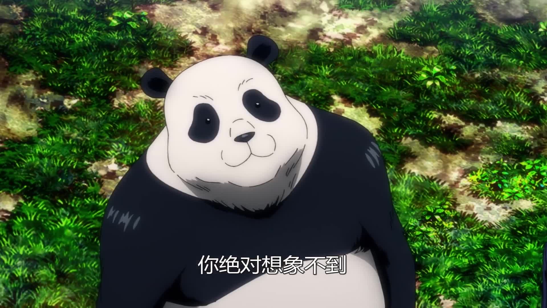 会说话的大熊猫见过吗?并且身体里住着三个灵魂的那种